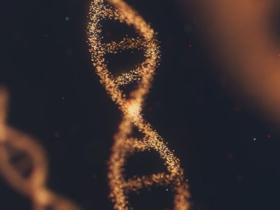 DNA Complex