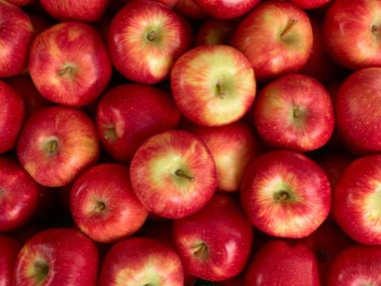 Apple stem cells