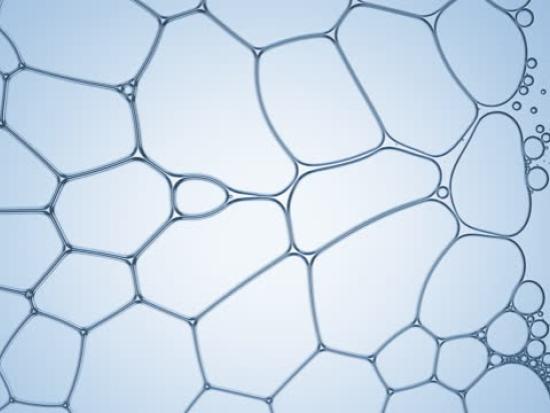 Peptides Complex