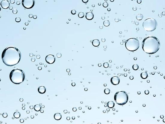 Prebiotic Bioactive